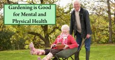How Gardening Can Keep You Healthy, Mentally and Physically. Picture of an older caucasian male and female with the female in a wheelbarrow and both are laughing.